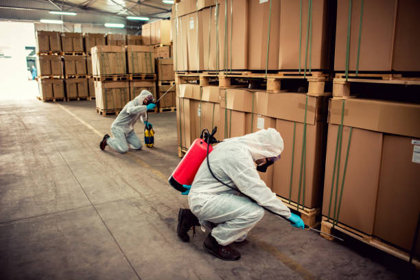 Best Termite Control Services  in Cottage Grove, MN